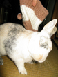 09020605.jpg