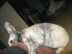 09020609.jpg