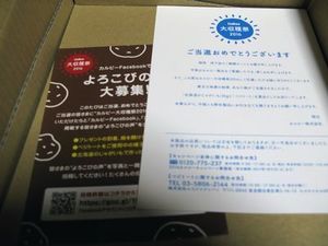 161119_02.jpg