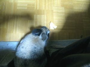 161224_05.jpg