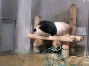 171115_03.jpg