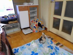 250316_03.JPG