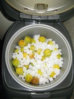 炊飯器で梅シロップ.jpg